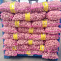 20kg mesh bag Chinese normal white garlic price in Pakistan